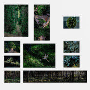 forest in my head