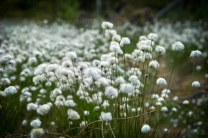 Spring in Vastseliina, 2026