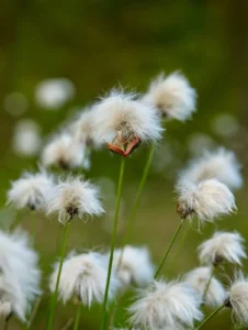 Spring is in the air, 2026