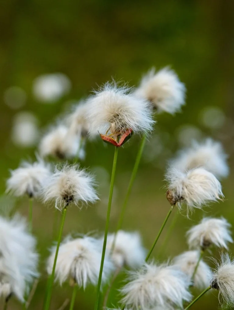 Spring is in the air, 2026